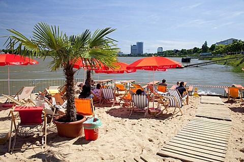 Beer garden, restaurant, sandy beach, palm trees, deckchairs, bank of the Rhine River, Bonn, Rhineland region, North Rhine-Westphalia, Germany, Europe