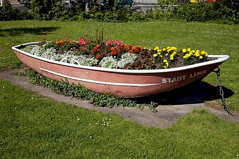 Boat with flowers, Linz am Rhein, Rhineland, Rhineland-Palatinate, Germany, Europe