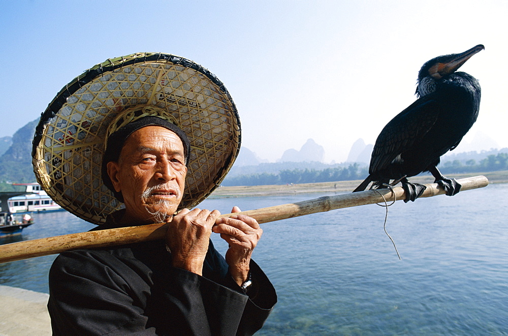 Cormorant Fisherman with bird on fishing pole, Li River, Guilin, Yangshou, Guangxi Province, China, Asia