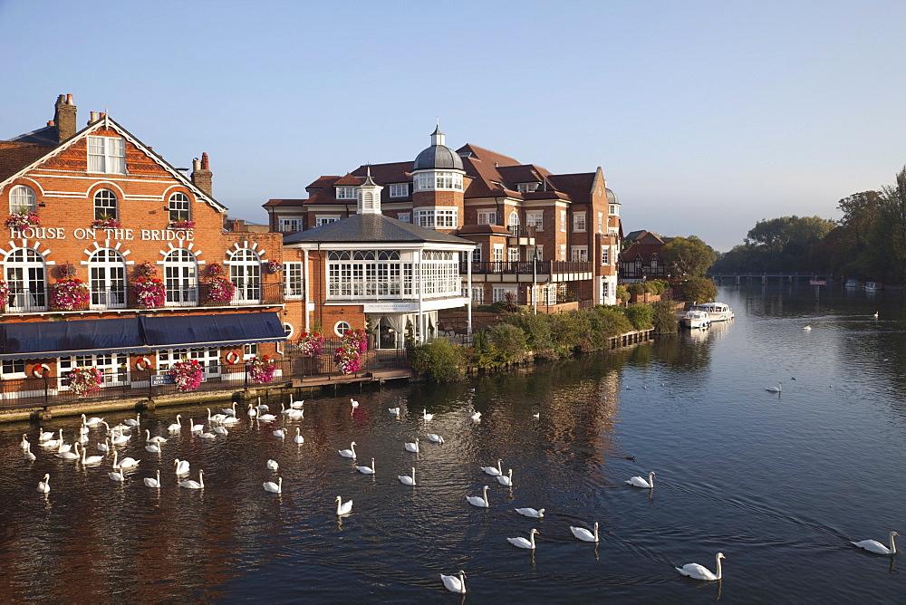 River Thames and riverfront, Eton, Berkshire, England, United Kingdom, Europe