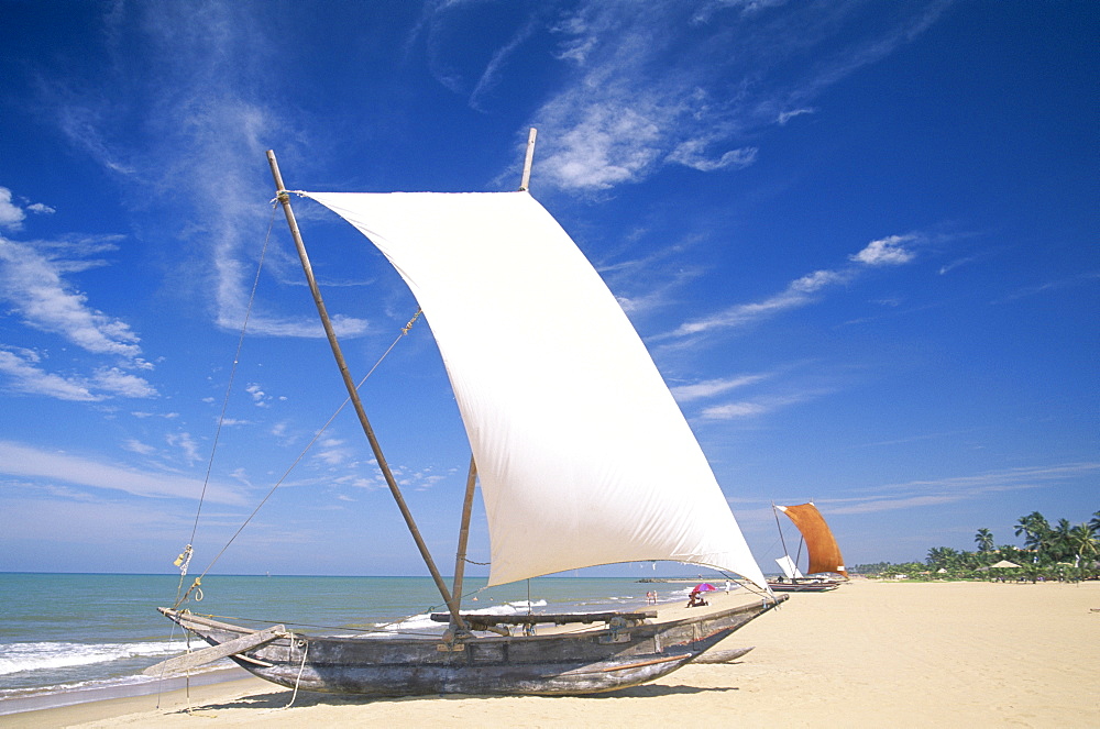 Traditional outrigger fishing boats, Negombo Beach, Negombo, Sri Lanka, Asia