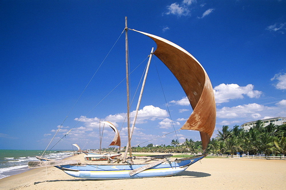 Traditional outrigger fishing boats, Negombo Beach, Negombo, Sri Lanka, Asia