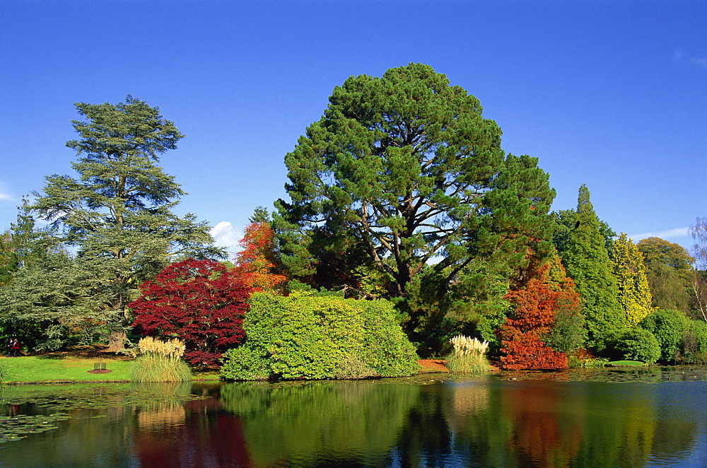 Autumn colours in Sheffield Park Garden, Sussex, England, United Kingdom, Europe