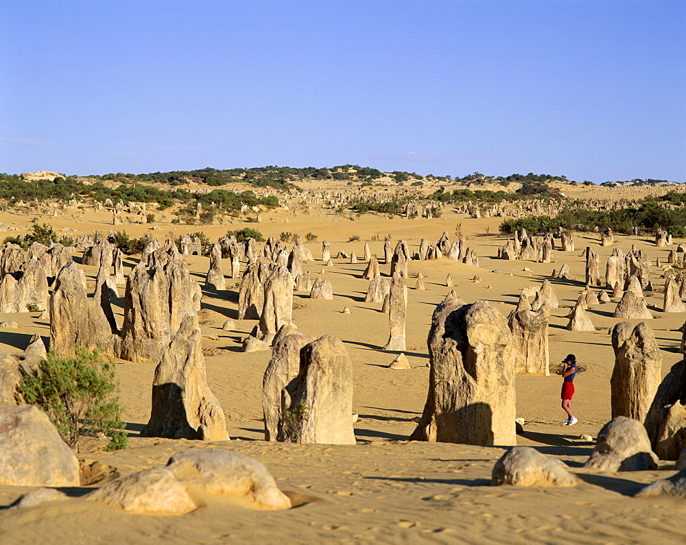 Pinnacles, Nambung National Park, Cervantes, Western Australia, Australia, Pacific