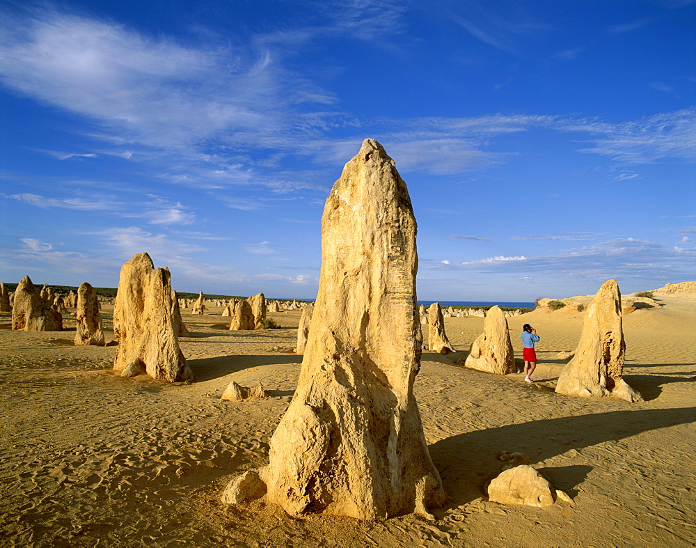 Pinnacles, Nambung National Park, Cervantes, Western Australia, Australia, Pacific