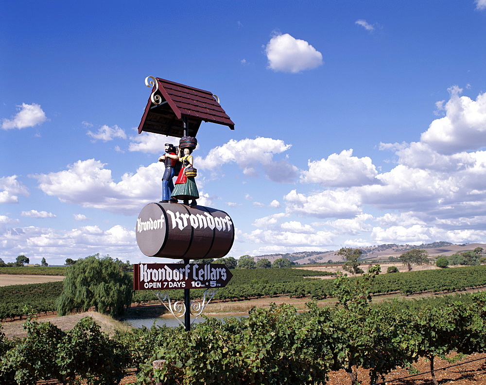 Vineyards, Nuriootpa, Barossa Valley, South Australia, Australia, Pacific