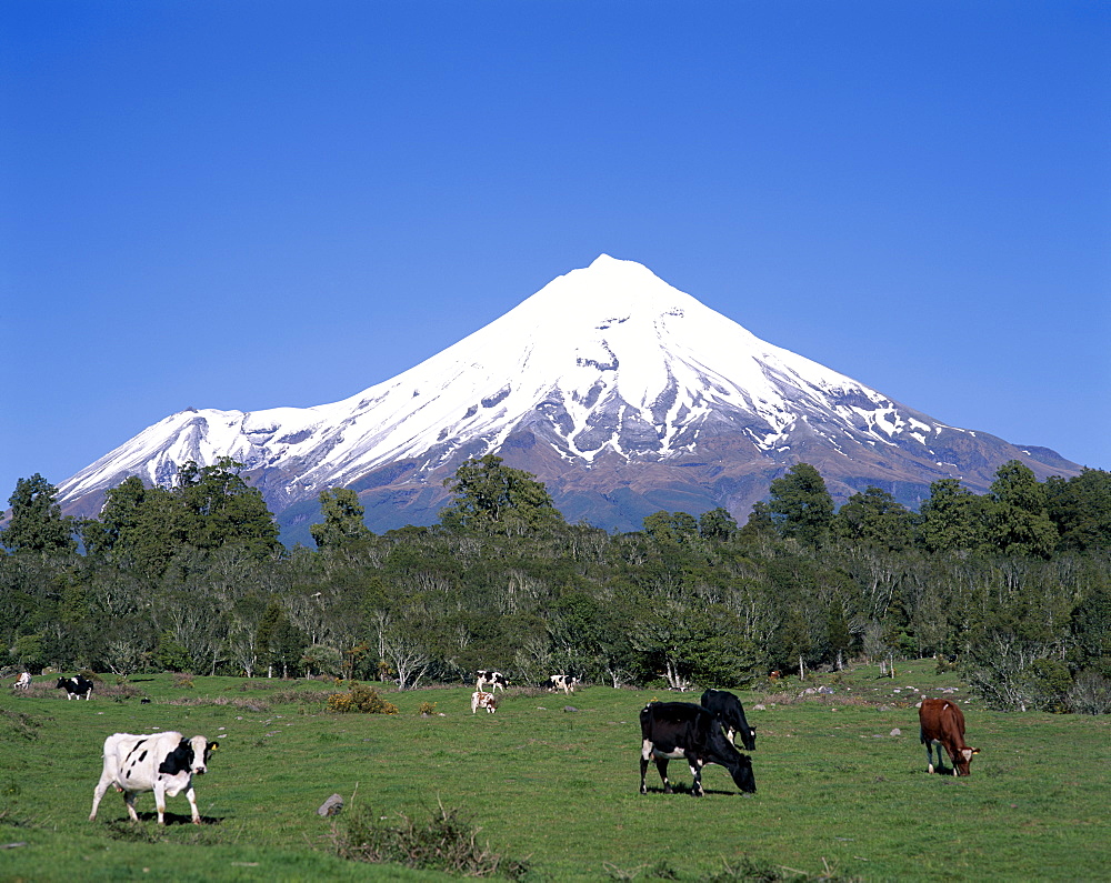 Mount Egmont (Mount Taranaki), Egmont National Park, Taranaki, North Island, New Zealand, Pacific