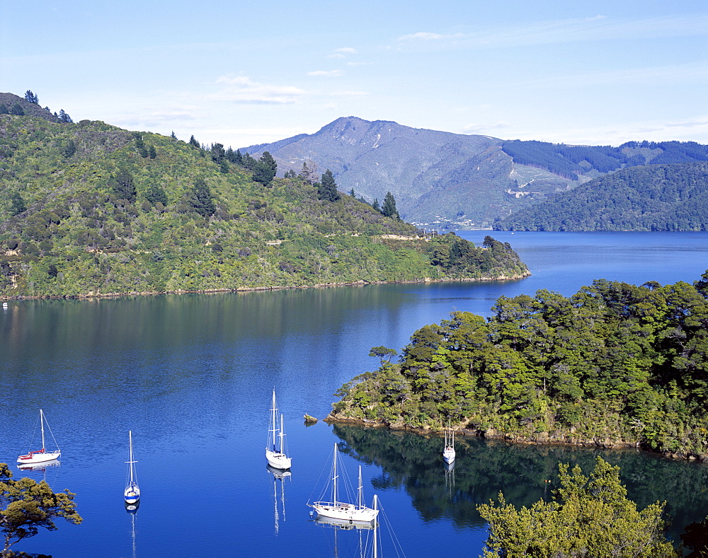 Queen Charlotte Sound, Marlborough Sounds, Marlborough, South Island, New Zealand, Pacific