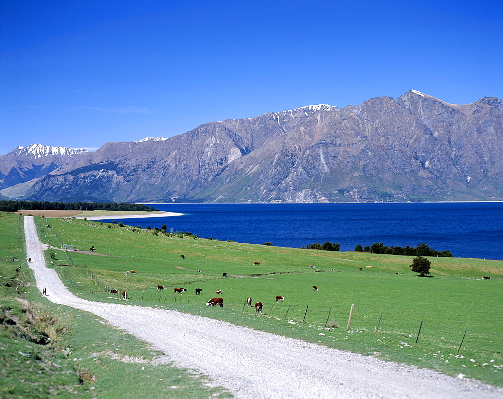 Road with Lake Hawea and The Southern Alps Mountain Ranges, Wanaka, South Island, New Zealand, Pacific