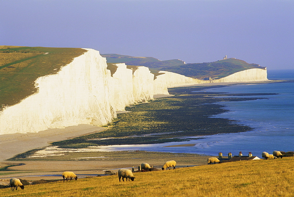 The Seven Sisters chalk cliffs, East Sussex, England, United Kingdom, Europe