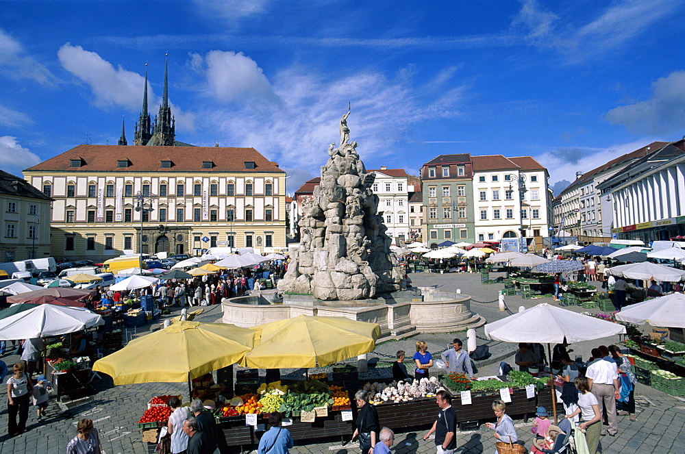 The Garden Market (Zelny trh) and Parnassus Fountain, Brno, South Moravia, Czech Republic, Europe