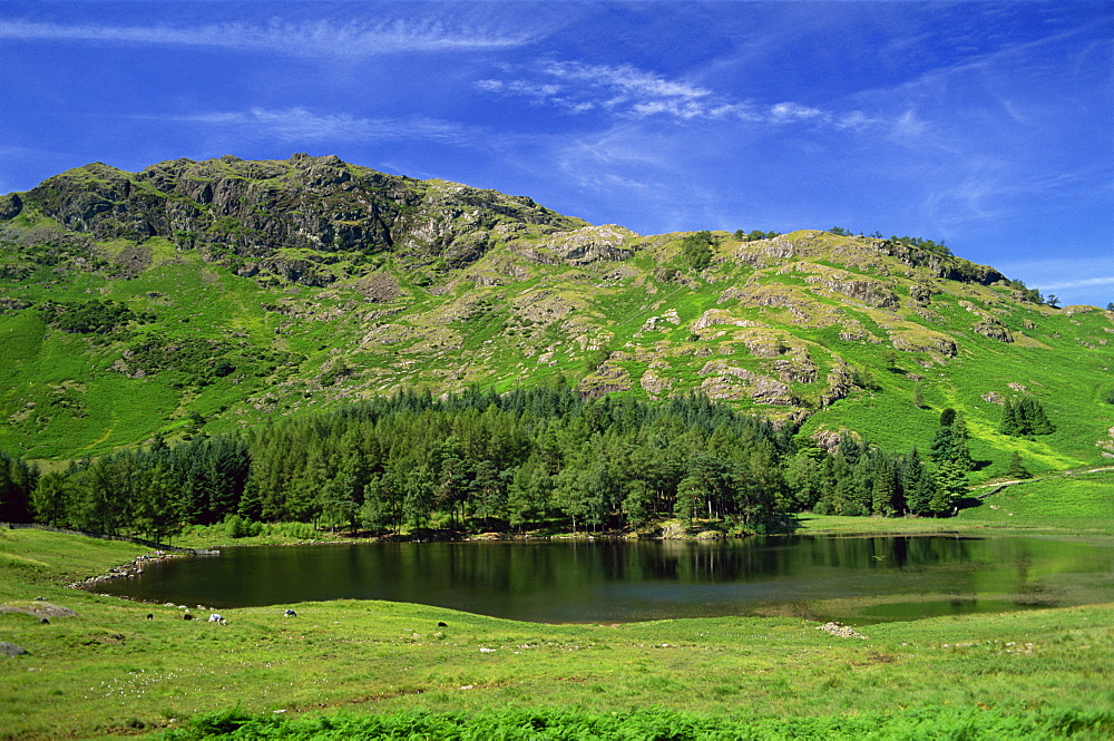 Blea Tarn, Great Langdale, Lake District National Park, Cumbria, England, United Kingdom, Europe