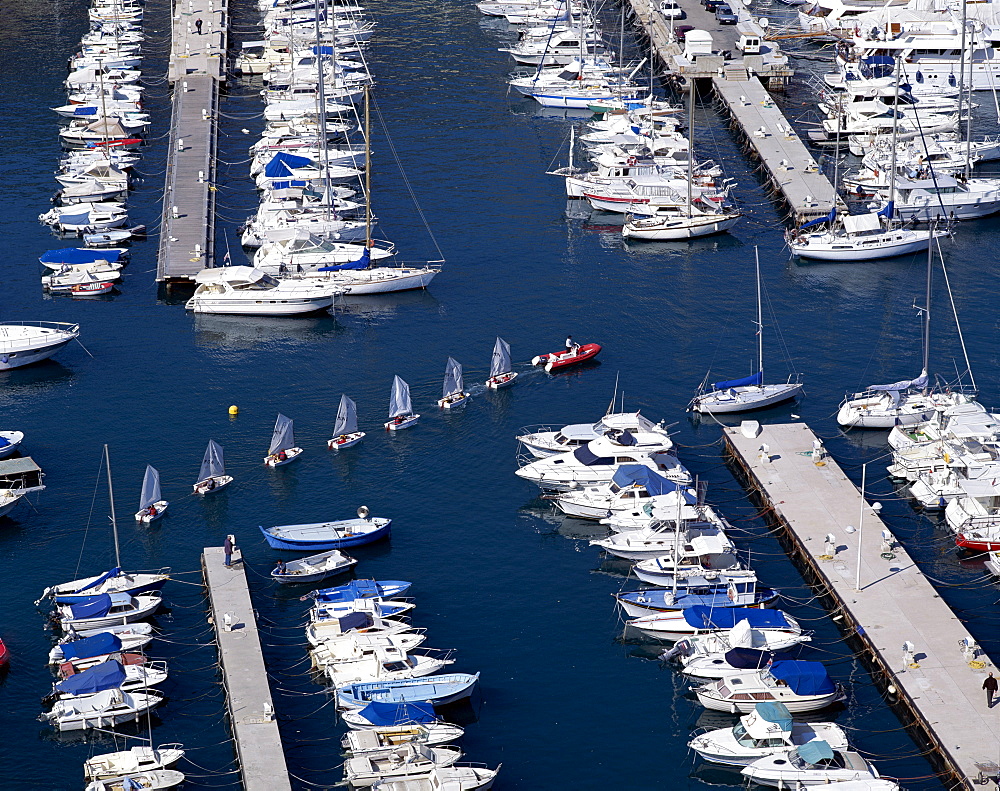 Yachts, Monaco Harbour, Monaco, Cote d'Azur, Europe