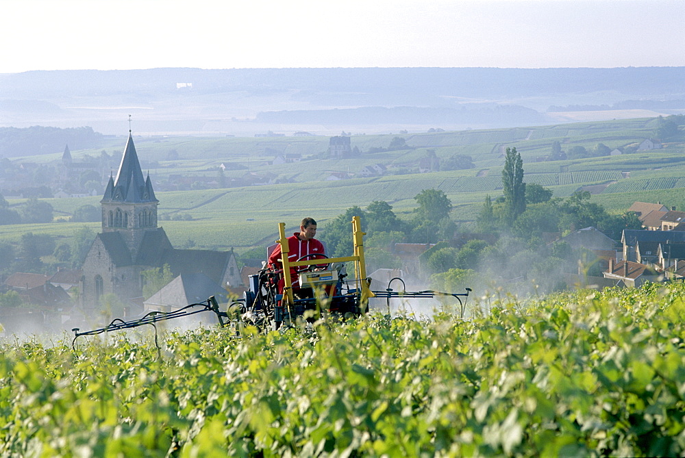 Vineyard spraying near Reims, Champagne, France, Europe