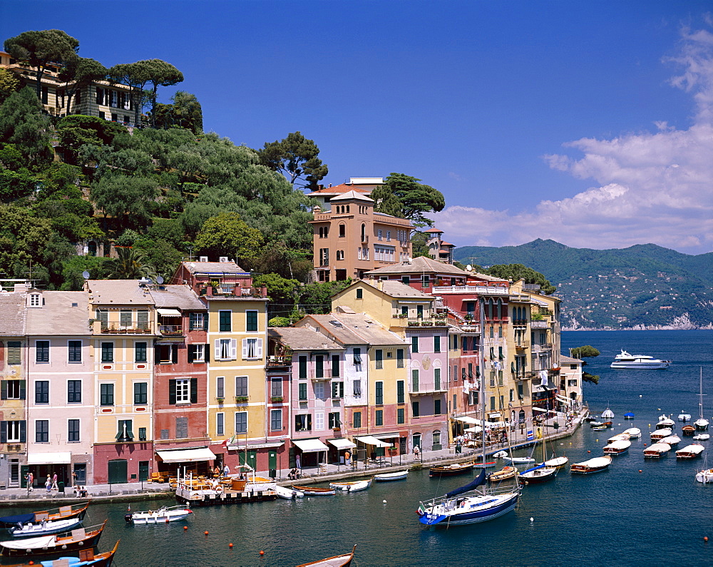 Coastal view, village and harbour, Portofino, Liguria, Italy, Europe