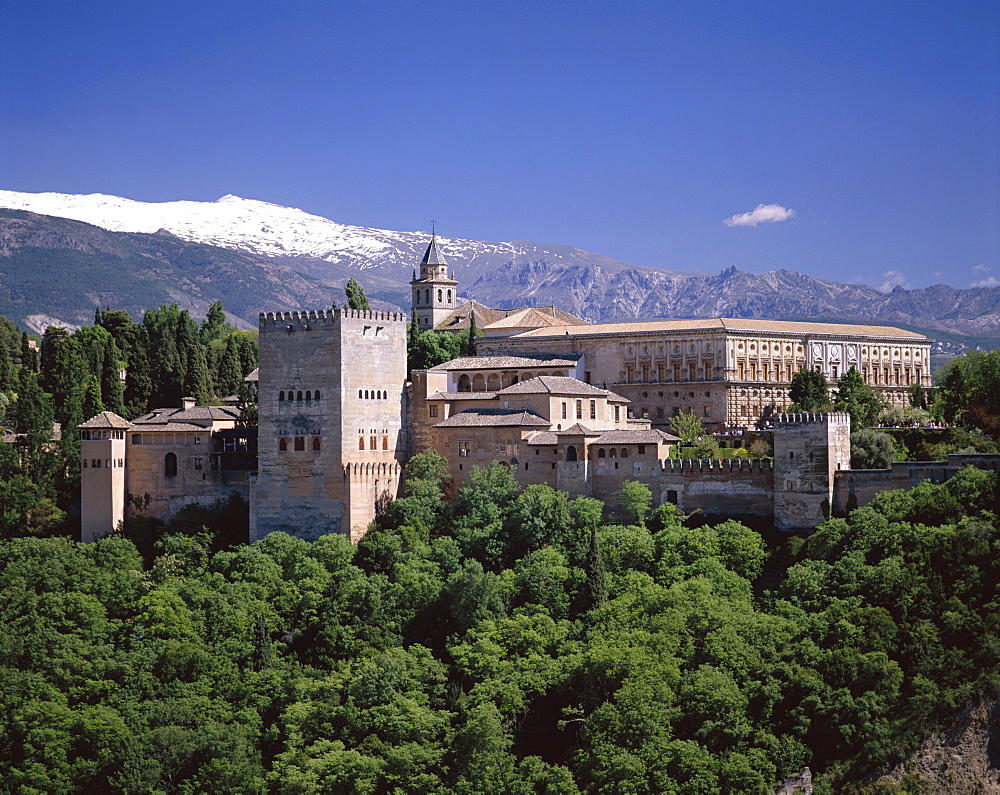 The Alhambra, Moorish Fortress Palace, UNESCO World Heritage Site, Granada, Andalusia, Spain, Europe