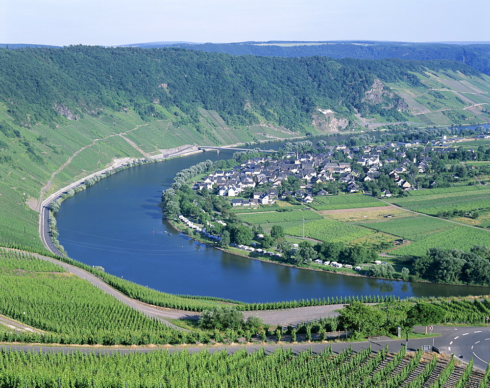 Mosel River and vineyards, Krov, Rhineland, Mosel Valley, Germany, Europe