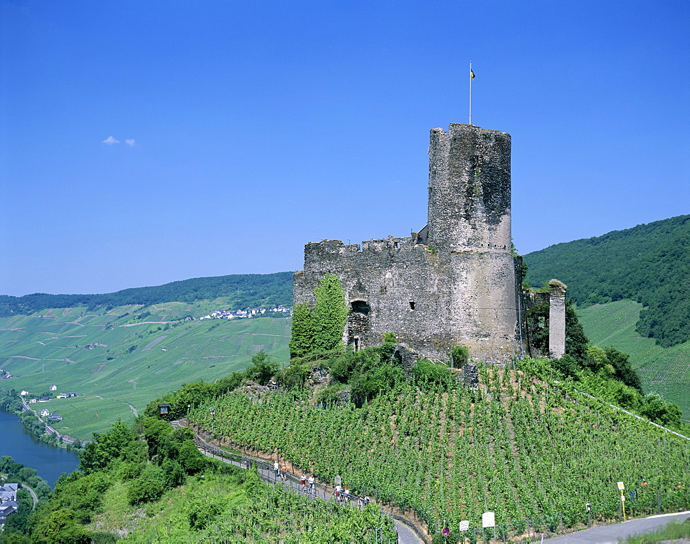 Bernkastel Castle, Mosel River and vineyards, Bernkastel, Rhineland, Mosel Valley, Germany, Europe