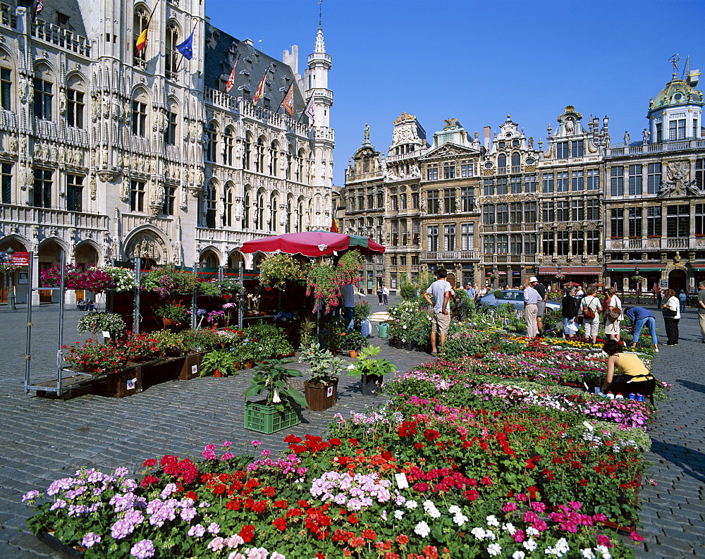 Flower market in the Grand Place, UNESCO World Heritage Site, Brussels, Belgium, Europe