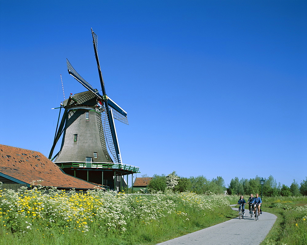 Windmill and cylists, Zaanse Schans, Holland (Netherlands), Europe