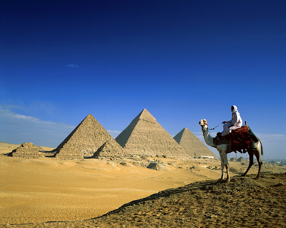 Man on camel in front of the Pyramids, Giza, Egypt, North Africa, Africa