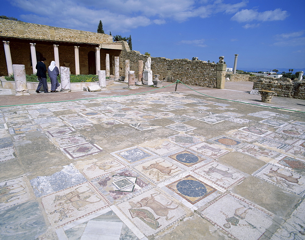 Mosaic floor, The Roman Villa, Carthage, UNESCO World Heritage Site, Tunis, Tunisia, North Africa, Africa