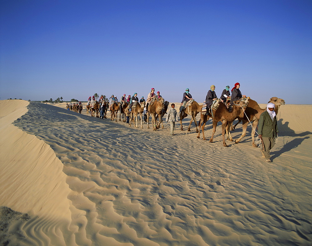 Tourists riding camels in sand dunes, Douz, Tunisia, North Africa, Africa