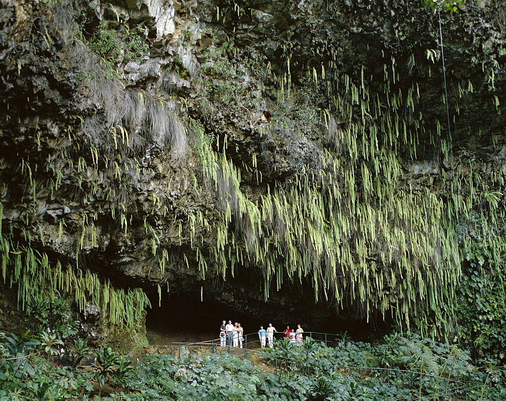 Fern Grotto, Hawaii, Kauai, United States of America, North America