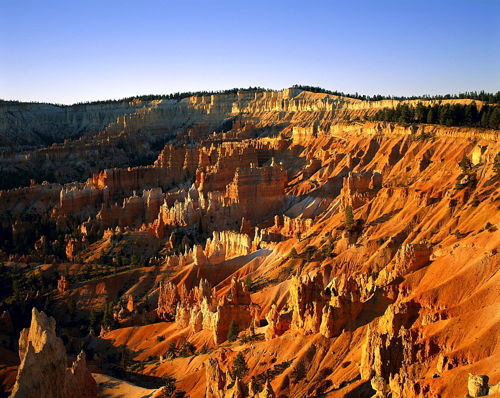 Bryce Canyon National Park, Utah, United States of America, North America