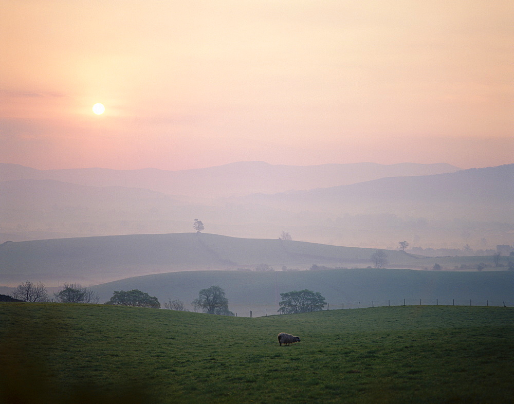 Sunrise near Hawes, Yorkshire Dales National Park, North Yorkshire, England, United Kingdom, Europe