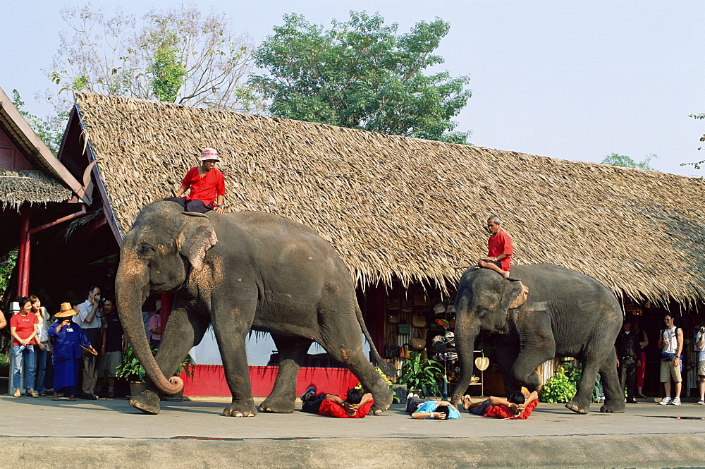 Elephant Show at The Rose Garden, Bangkok, Thailand, Southeast Asia, Asia