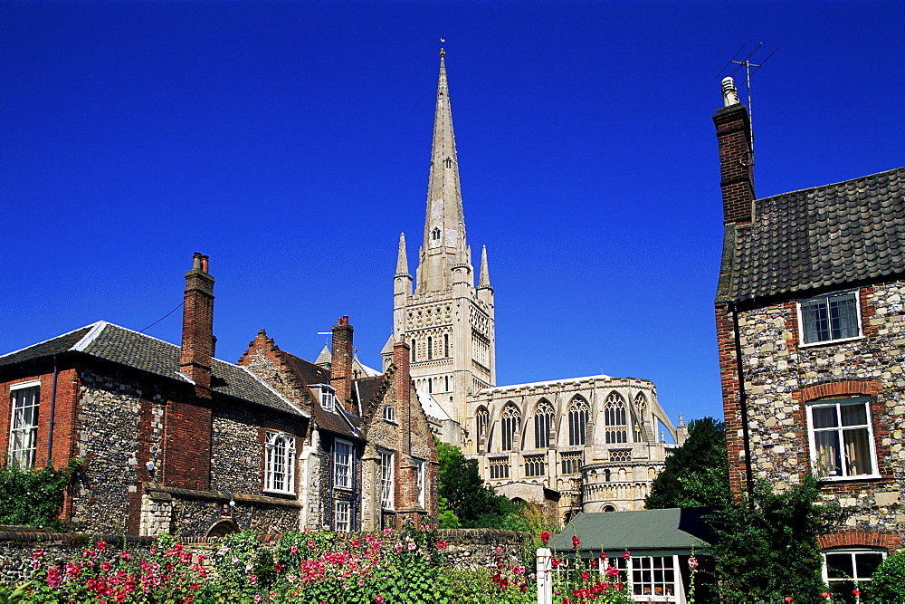 Norwich Cathedral, Norwich, Norfolk, England, United Kingdom, Europe