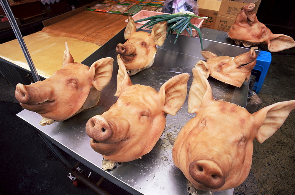 Pigs' heads on display, Jagalchi Market, Busan, South Korea, Asia