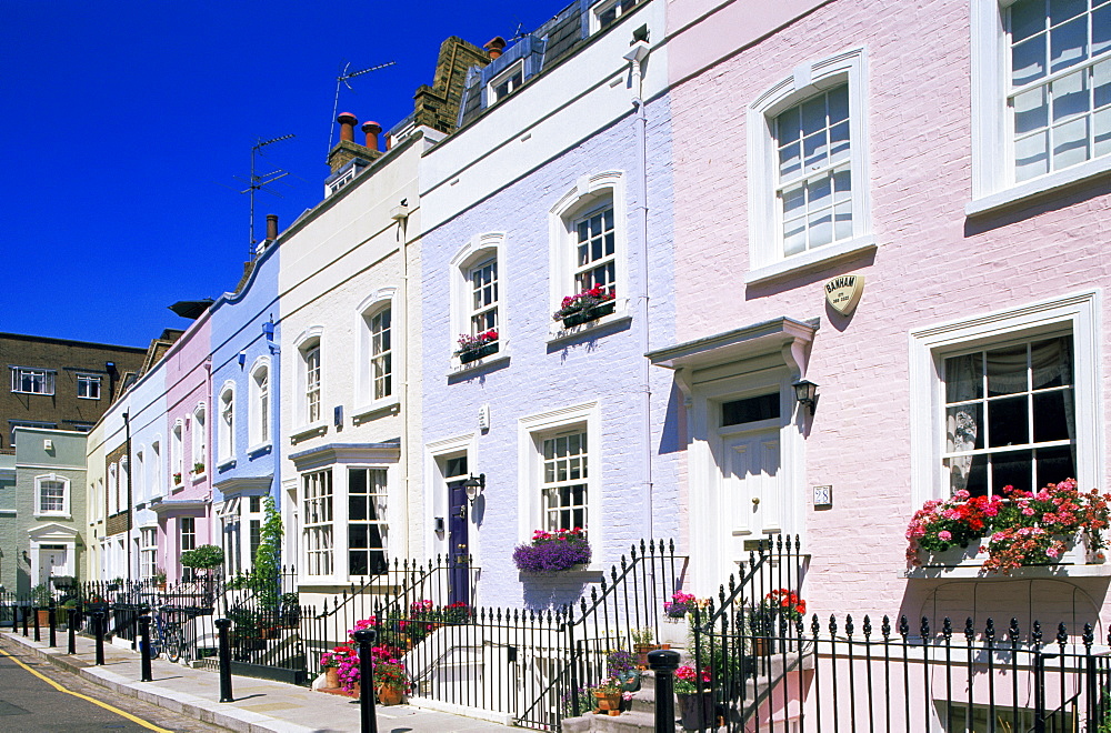 Colourful houses, Bywater Street, Chelsea, London, England, United Kingdom, Europe