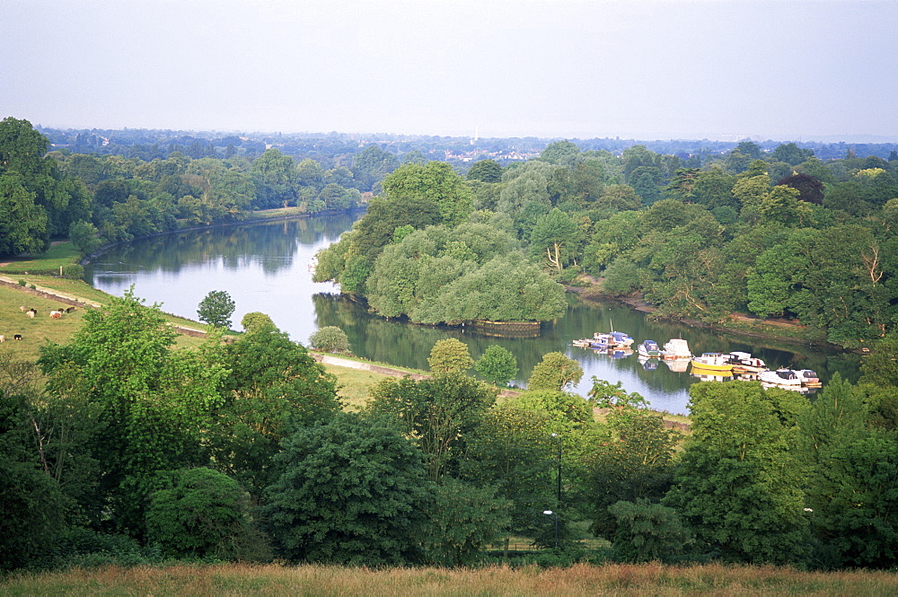 View of the Thames from Richmond Hill, Richmond, Surrey, Greater London, England, United Kingdom, Europe