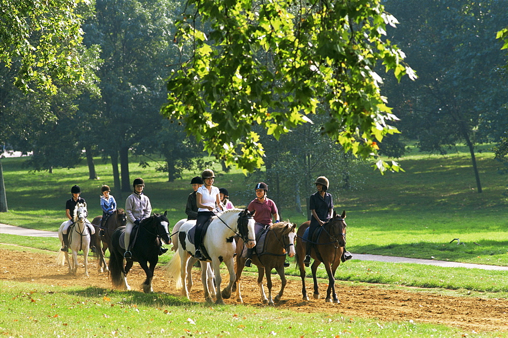 Horse riding in Hyde Park, London, England, United Kingdom, Europe