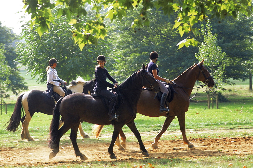 Horse riding in Hyde Park, London, England, United Kingdom, Europe