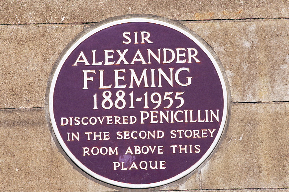 Plaque commemorating Sir Alexander Fleming, discovered of penicillin, London, England, United Kingdom, Europe