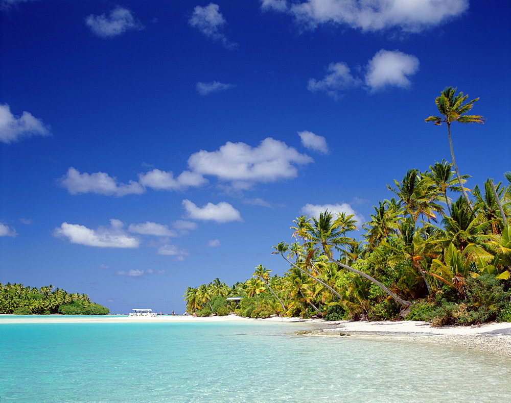 Atoll, palm trees and tropical beach, Aitutaki Island, Cook Islands, Polynesia, South Pacific, Pacific