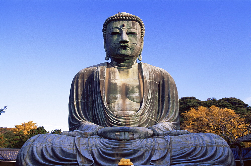 The Great Buddha with autumn leaves, Daibutsu, Kamakura, Japan, Asia