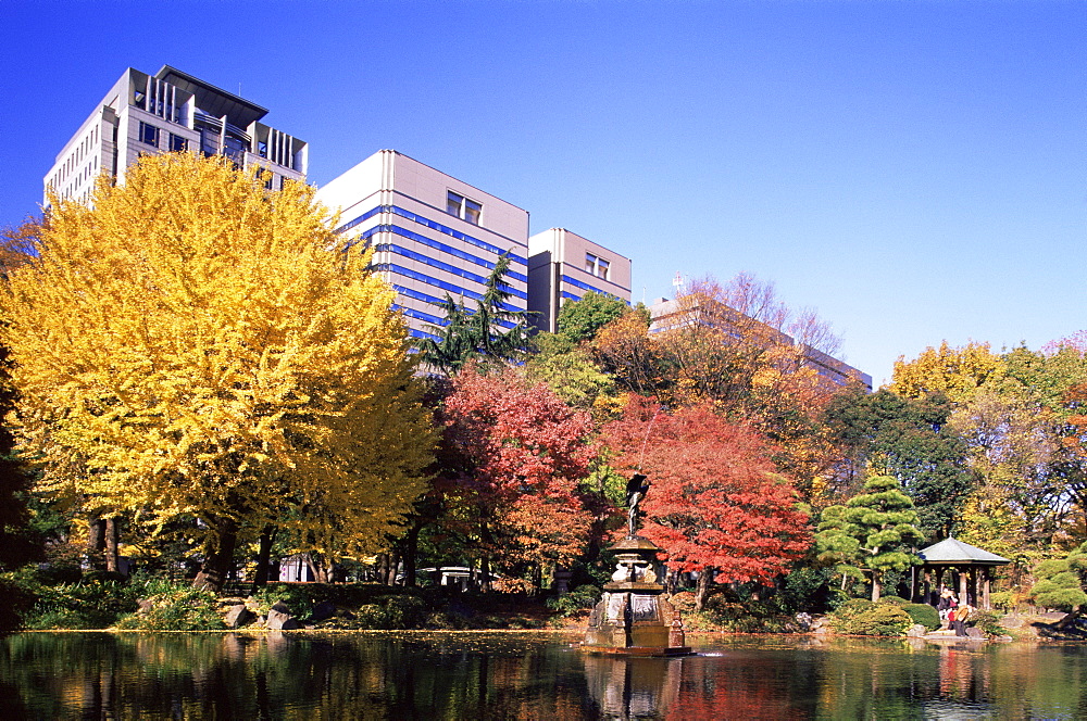 Autumn foliage, Hibiya Park, Tokyo, Japan, Asia