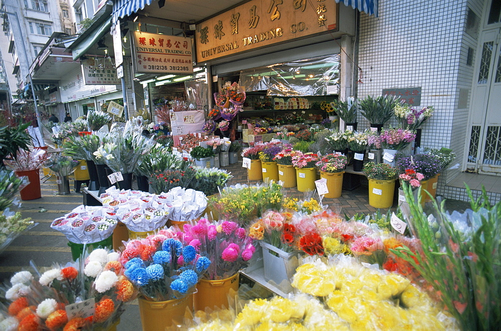 Mong Kok Flower Market, Hong Kong, China, Asia