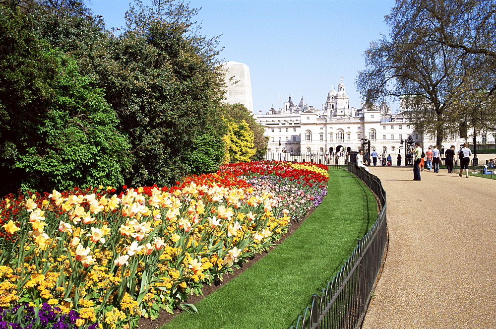 Spring flowers, St. James's Park, London, England, United Kingdom, Europe