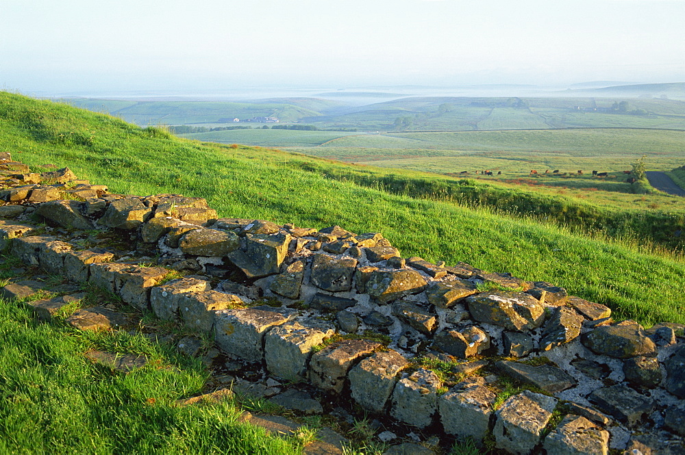 View near Housesteads Roman Fort, Hadrians Wall, UNESCO World Heritage Site, Northumberland, England, United Kingdom, Europe