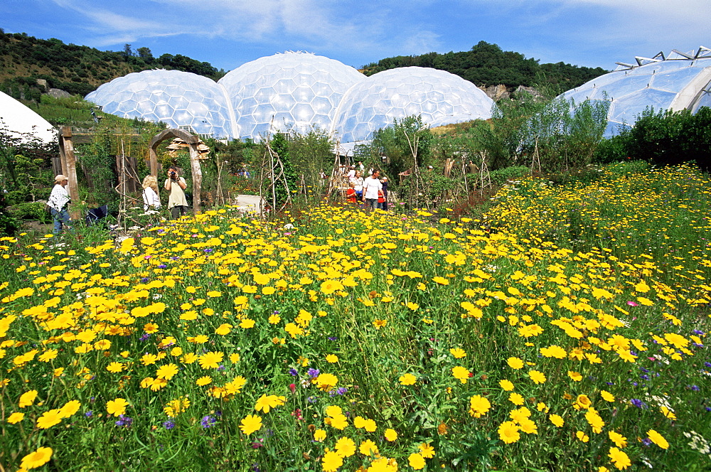 The Eden Project, St. Austell, Cornwall, England, United Kingdom, Europe