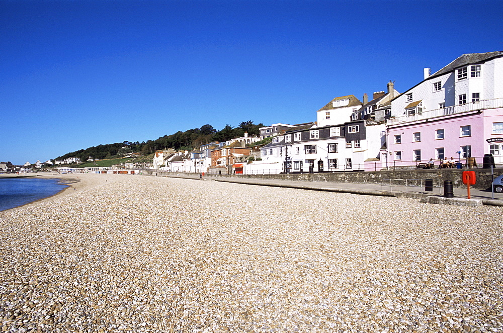 Lyme Regis Beach, Dorset, England, United Kingdom, Europe