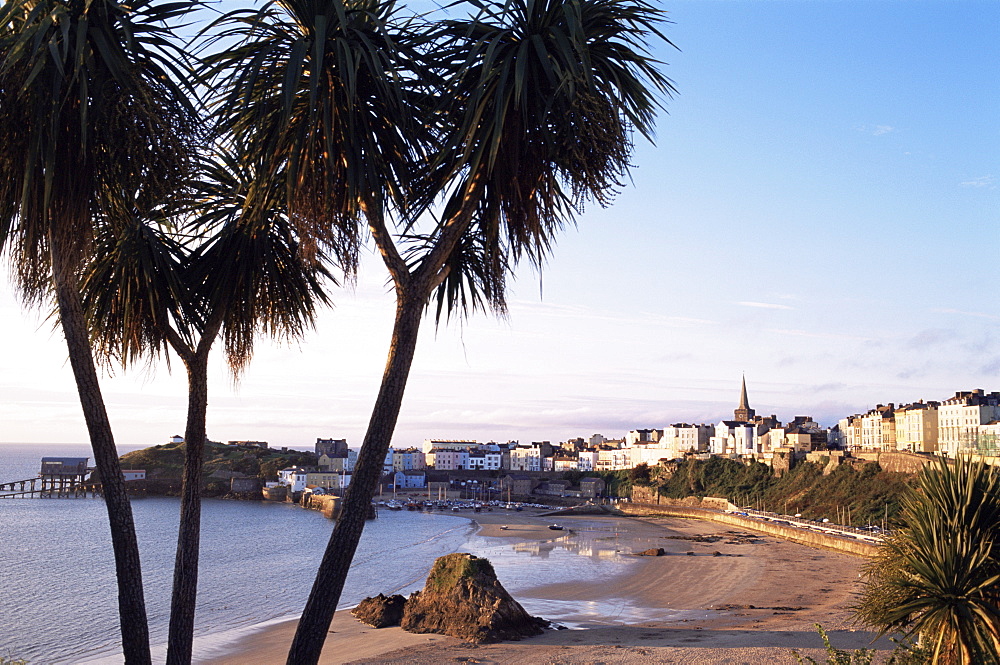 Tenby, Pembrokeshire, Wales, United Kingdom, Europe