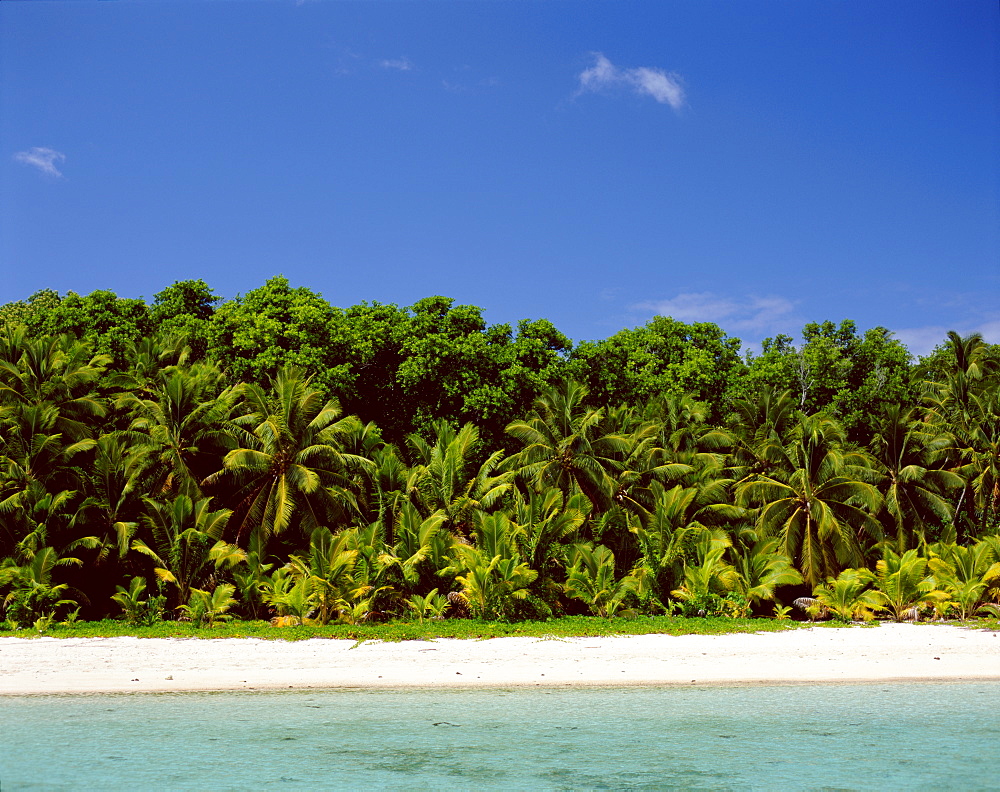 Atoll, palm trees and tropical beach, Aitutaki Island, Cook Islands, Polynesia, South Pacific, Pacific