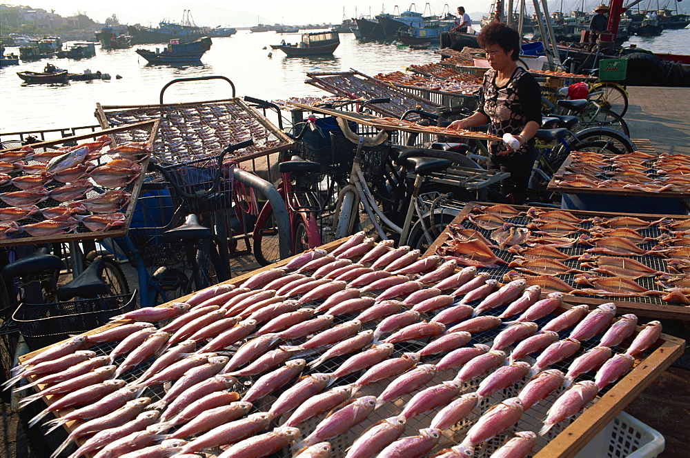 Drying fish, Cheung Chau Island, Hong Kong, China, Asia