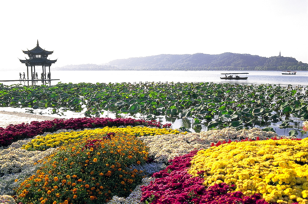 West Lake, Hangzhou, Zhejiang Province, China, Asia